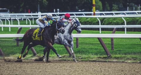Betting Options